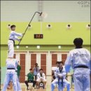 멋짐태권도 이미지