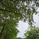 부현초등학교 이미지