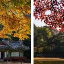 서울 꽃구경 가볼만한곳 Top10 추천