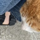 상월지역아동센터 이미지