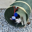 경포캐빈펜션 이미지