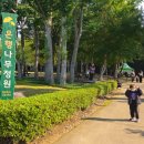 정원사 | 숲담다 주말 가족체험 _ 태화강국가정원 행복한 정원사 후기