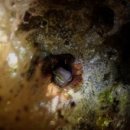 남해-246 이미지