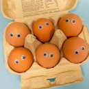 한국양계(주) 이미지