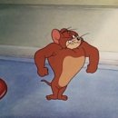 스테이헬스