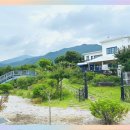 애견천국 이미지