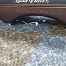 호박당구장 이미지