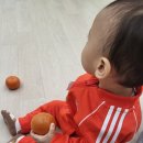 아기다람쥐 | [육아] 안산육아종합지원센터 아기다람쥐 오로로B 문화센터 12개월 아이 참여후기