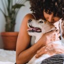 서서동물의료센터 이미지