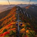 단풍농장 이미지