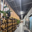 스파월드 짐 이미지