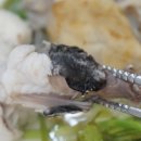 마산아구전문점 이미지