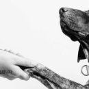 주식회사 페그너티 이미지