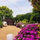 태란 펜션 이미지