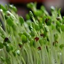 복용농장 이미지