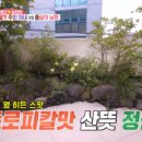 레이디제인북 네이버블로그