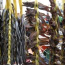 구룡포시장 이미지