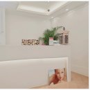 스피릿왁싱 이미지