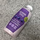 블루베리 | 그릭데이 저당 요거트 블루베리 후기