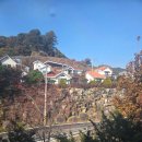 라푼젤키즈풀빌라 | 🌈 가평키즈풀빌라 아이와 함께한 완벽한 힐링 가족여행! 라푼젤키즈풀빌라 후기 🌈