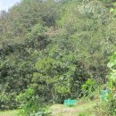 내서면 노류리 이미지