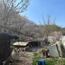 철탑 농장 이미지