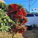 더위크스테이민박 이미지