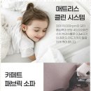 매트리스소파카페트청소청결홈케어