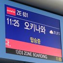 열대수족관 | 오키나와 츄라우미 수족관 후기 ㅣ 아이와 가기 좋은 오키나와 필수코스 (고래상어·돌고래쇼 꿀팁)