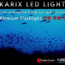 마린수중 이미지