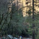 양지-3575 | 2024 겨울 미국 서부 : EP5. 요세미티 국립공원 - 로스엔젤레스 1일차