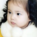 홍이 이미지
