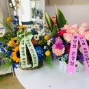 꽃집화요일 이미지