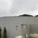 충북 보은 펜션 스테이수림 내돈내산 (A동 후기)
