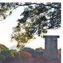 역사관주차장(신) | 국립경주박물관 평일 오픈런! 하루종일 머문 후기