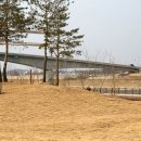 아라파크 이미지