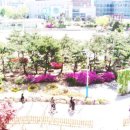 경복여자고등학교 이미지