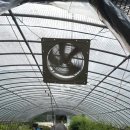 정호목장 이미지