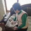 생활교육＜보건편＞ 봄철 황사 미세먼지 대처법 이미지