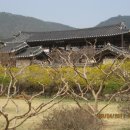 대영이노베이션 | 건축답사/ 안동하회마을 후기