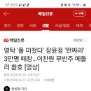 [기사] 장윤정 &#39;짠짜라&#39;3만명 떼창... 이미지