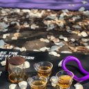 라이프 | 강남 꽃구경 숨은 명소, 테라스 요가로 즐긴 웰니스 라이프 후기