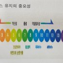 유니센스