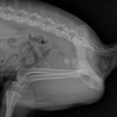 신천동물병원 이미지