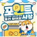 용인대학교 스타태권도장 이미지