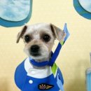 연두살롱 이미지