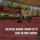 대구근교 아이와 가볼만한 곳 추천｜고령 대가야생활촌 핑크모래놀이터 후기