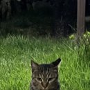 스테이 안셈 이미지