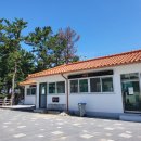 맹방비치캠핑장 이미지