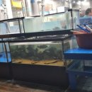 탐나종합어시장(수유시장 입구점) 이미지